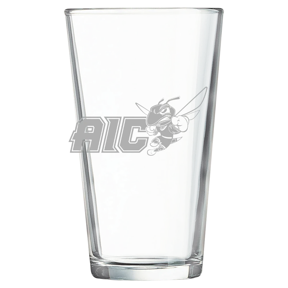 American International College Polar Camel 16 oz. Pint Mixing Glass