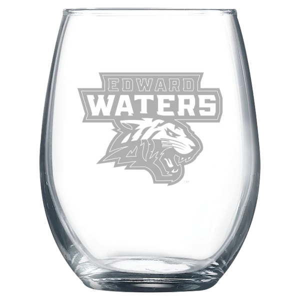 Edward Waters University Polar Camel 9 oz. Stemless Wine Glass