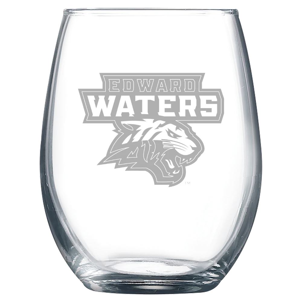 Edward Waters University Polar Camel 9 oz. Stemless Wine Glass