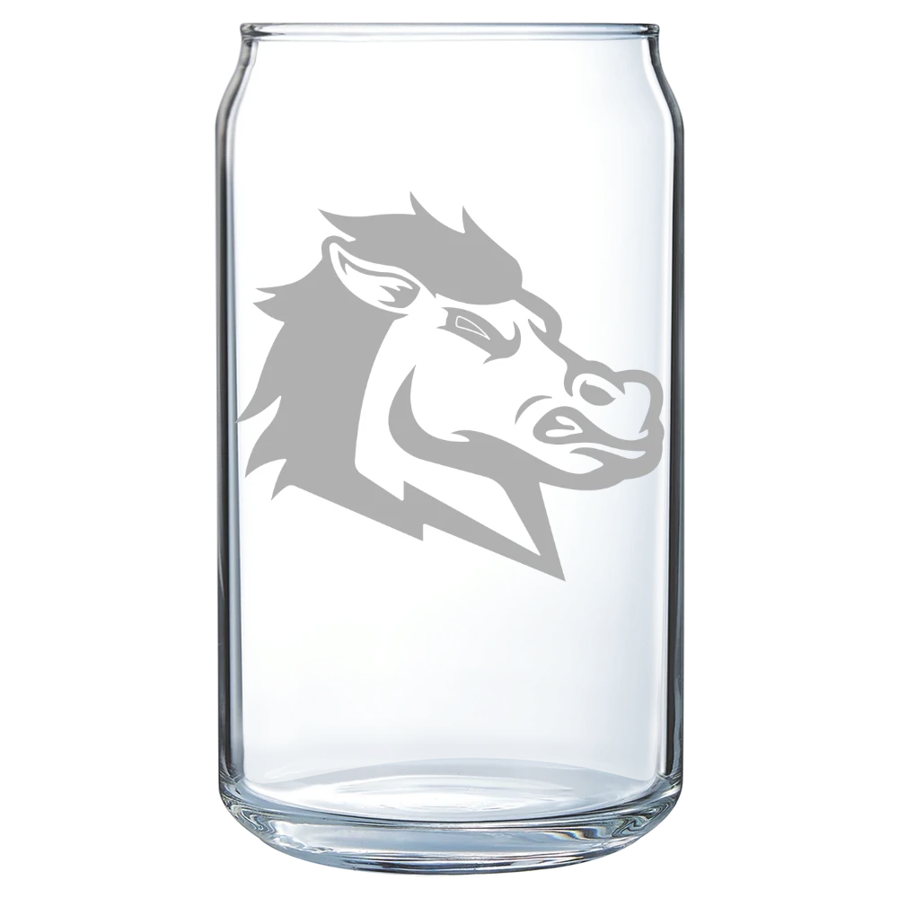 University of South Carolina Aiken Polar Camel 16 oz. Can Glass