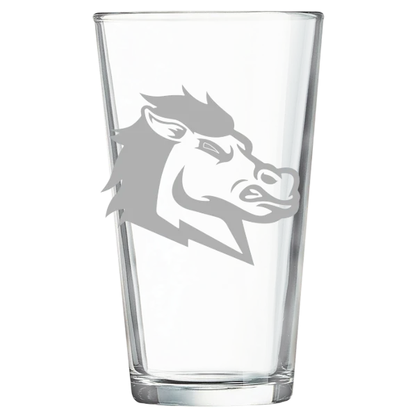 University of South Carolina Aiken Polar Camel 16 oz. Pint Mixing Glass