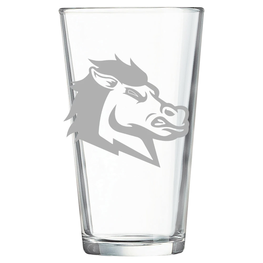 University of South Carolina Aiken Polar Camel 16 oz. Pint Mixing Glass