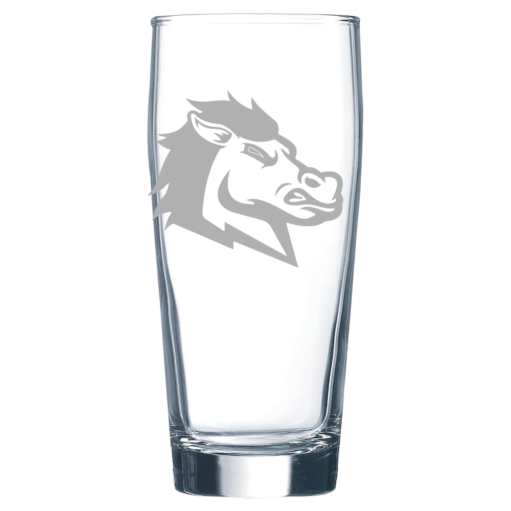 University of South Carolina Aiken Polar Camel 16 oz. Willi Becher Beer Glass