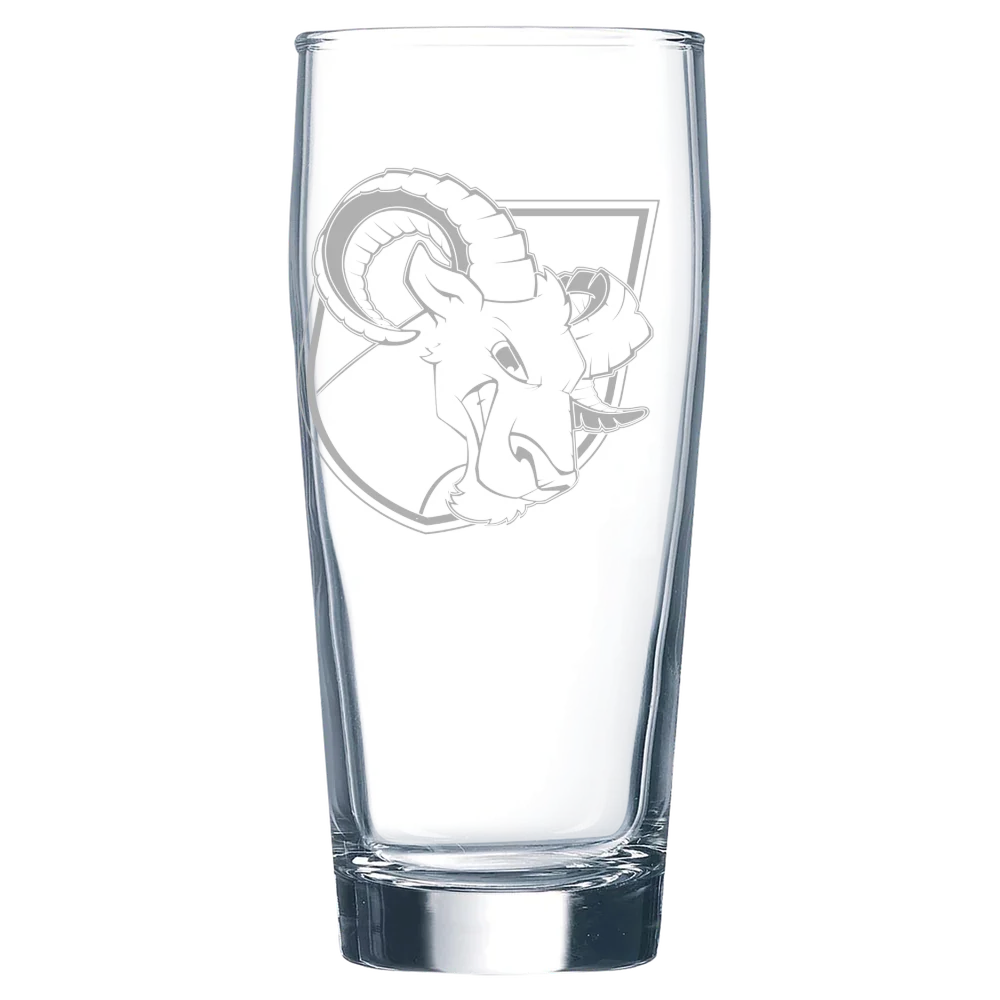 Delaware Valley University Polar Camel 16 oz. Willi Becher Beer Glass