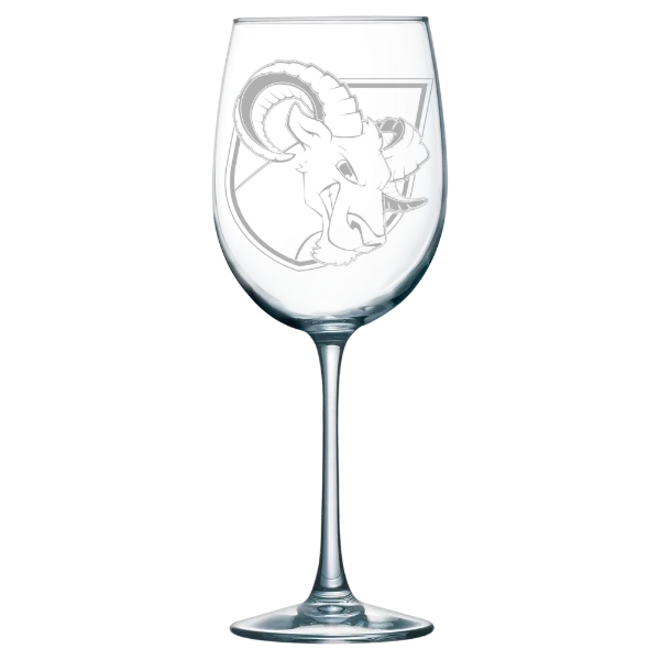 Delaware Valley University Polar Camel 19 oz. Wine Glass