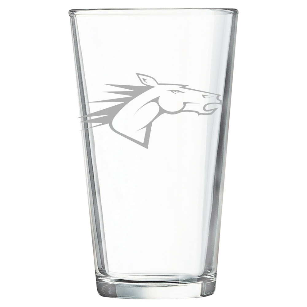 State University of New York at Delhi Polar Camel 16 oz. Pint Mixing Glass