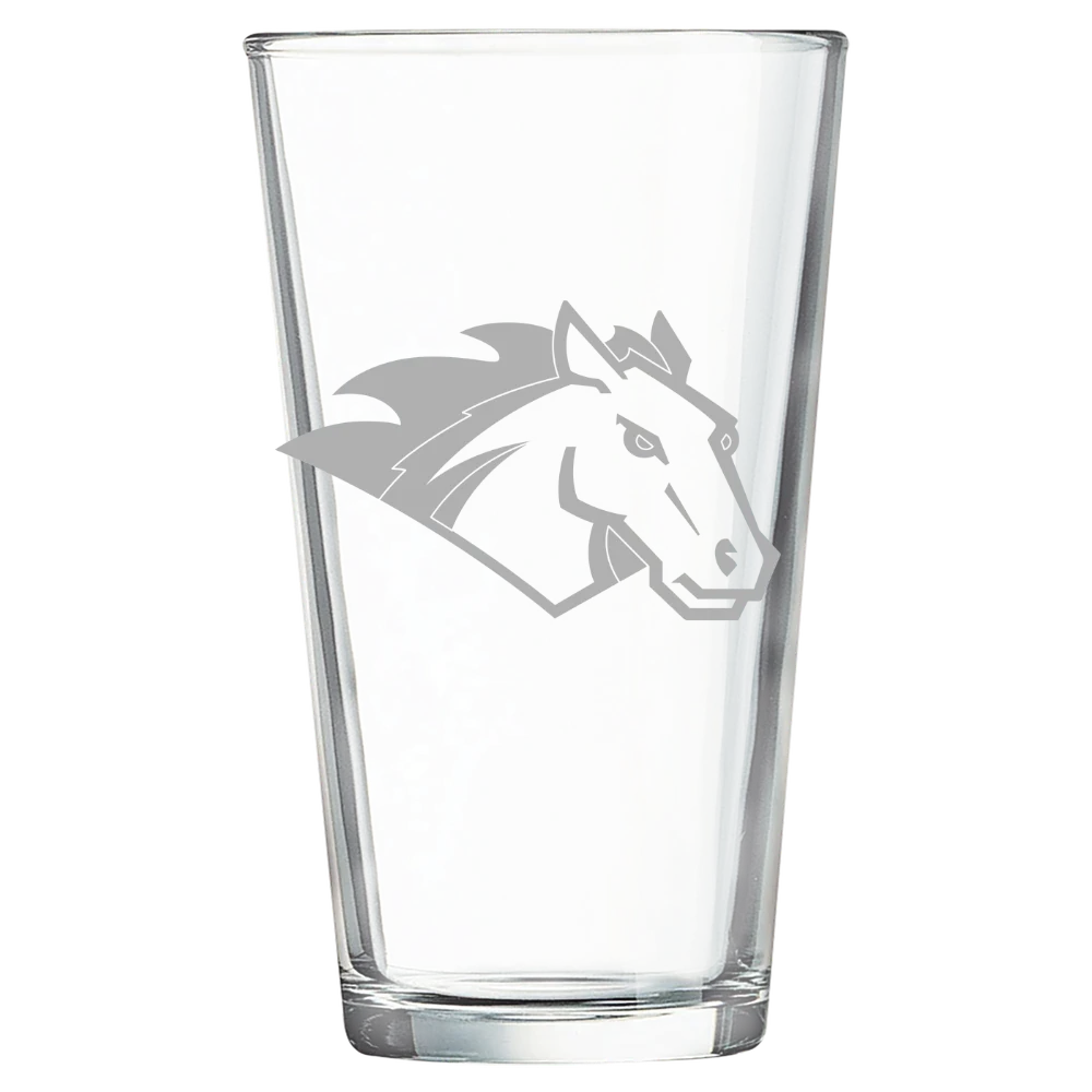 Stevenson University Polar Camel 16 oz. Pint Mixing Glass