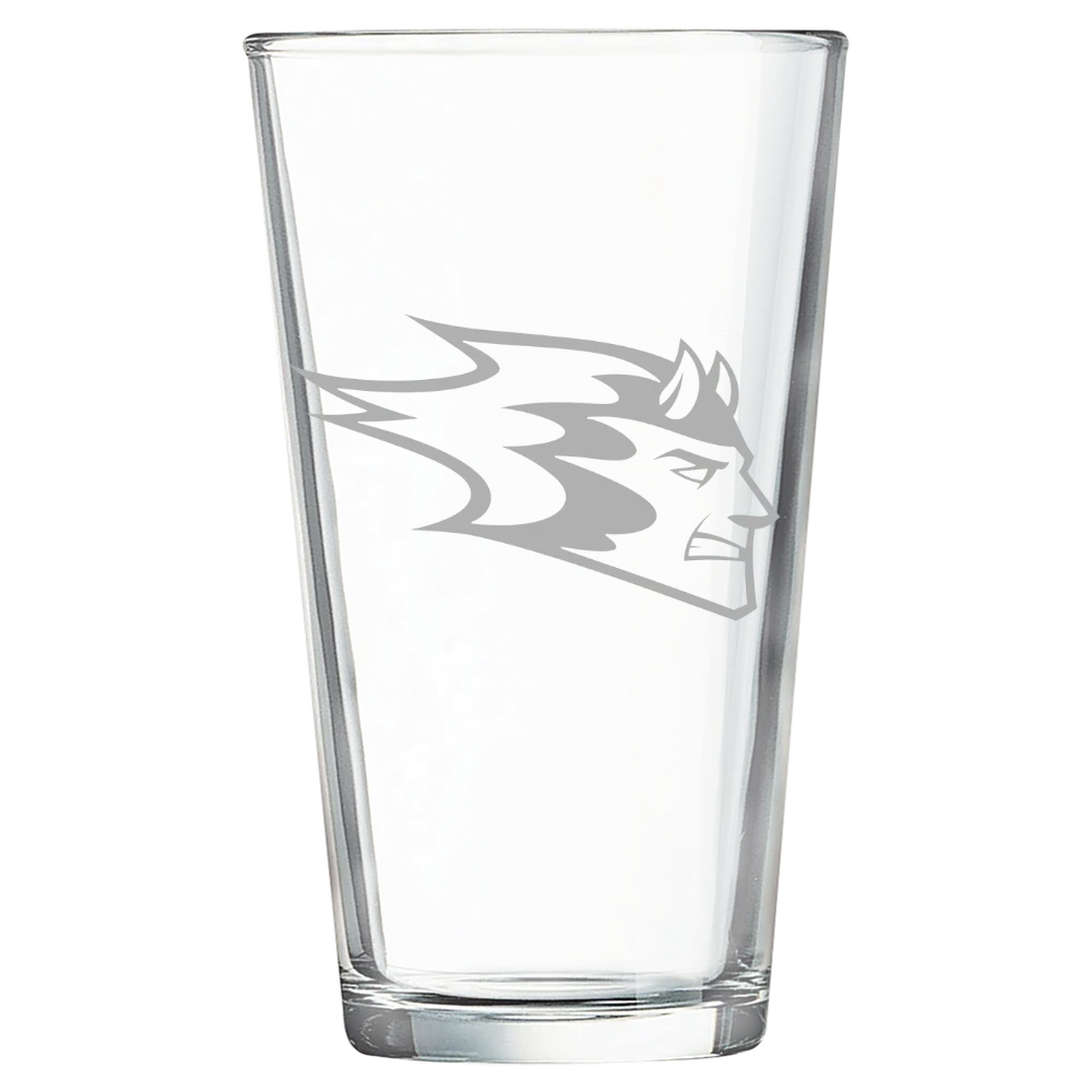 University of Wisconsin-Stout Polytechnic Polar Camel 16 oz. Pint Mixing Glass