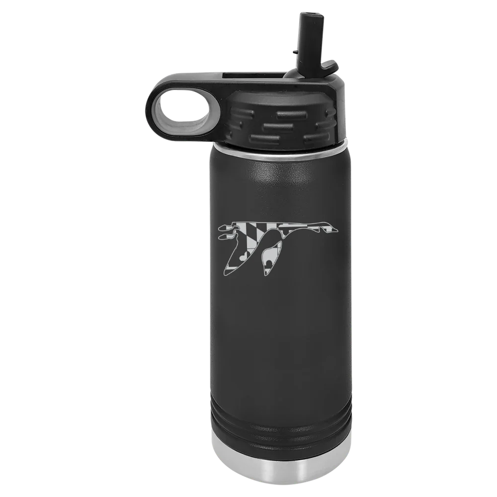 Washington College (Maryland) Polar Camel 20 oz. Water Bottle