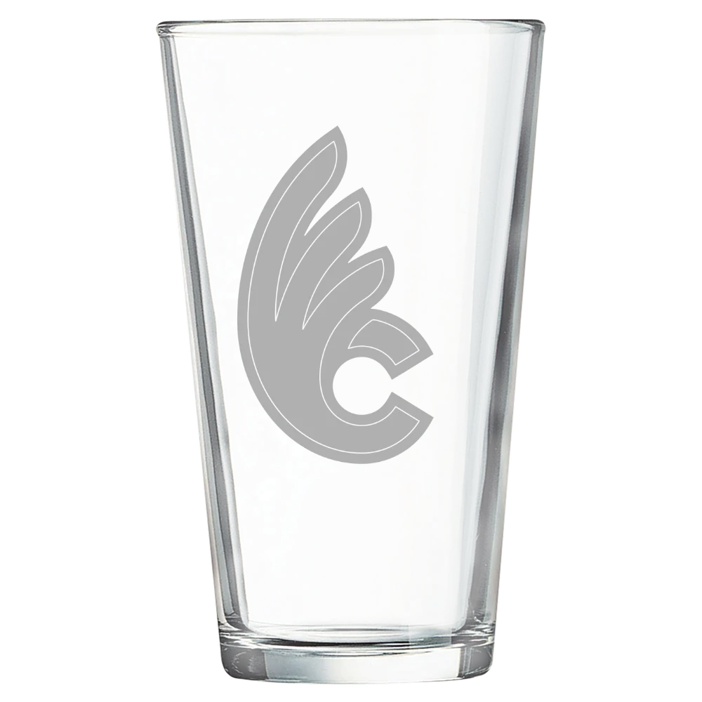 Wilmington College (Ohio) Polar Camel 16 oz. Pint Mixing Glass