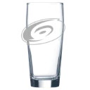 Carolina Hurricanes Polar Camel 16 oz. Willi Becher Beer Glass